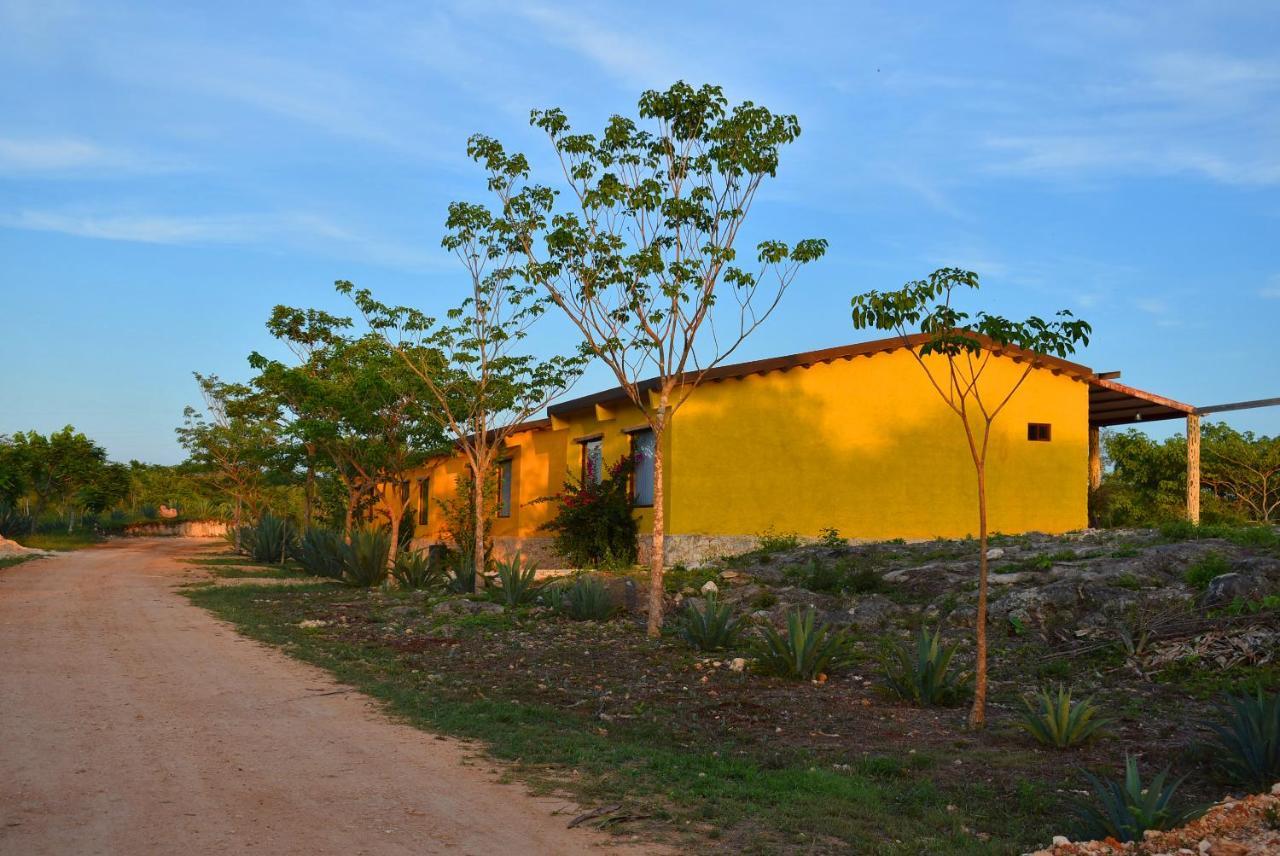 Vallazoo Maison d'hôtes Valladolid (Yucatan)