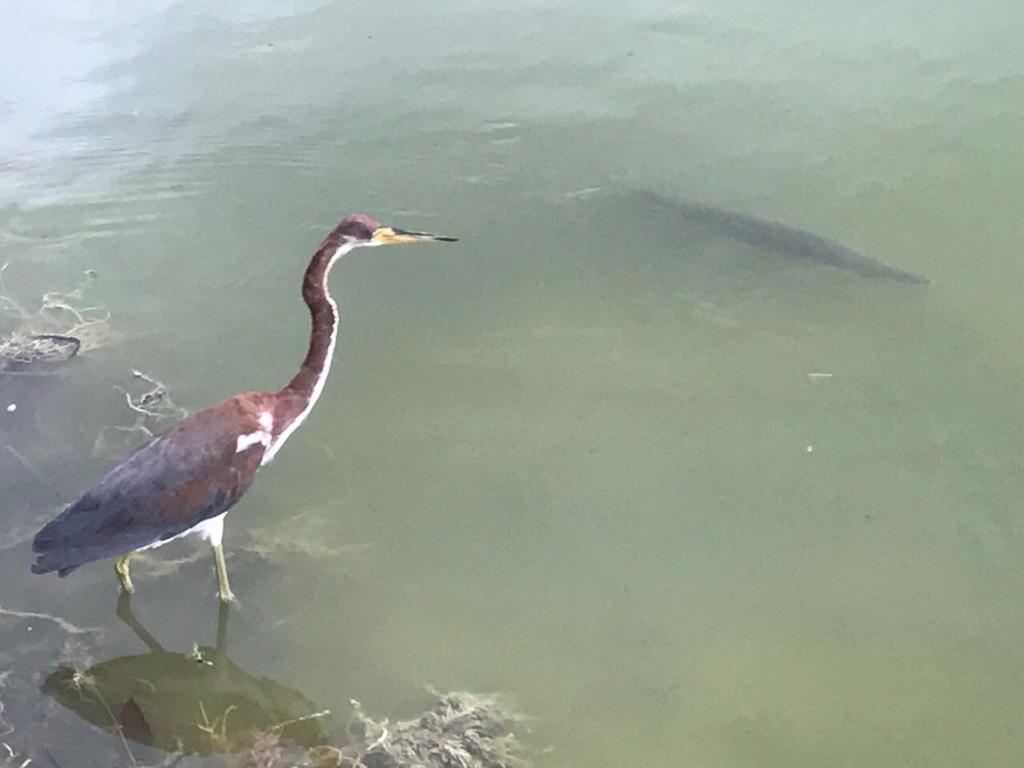 Vallazoo Maison d'hôtes Valladolid (Yucatan)